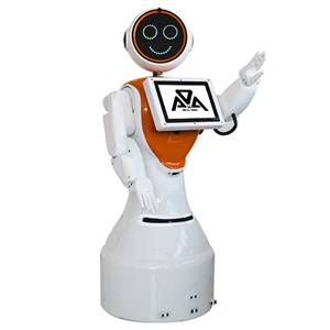 MİNİ ADA İNSANSI ROBOT